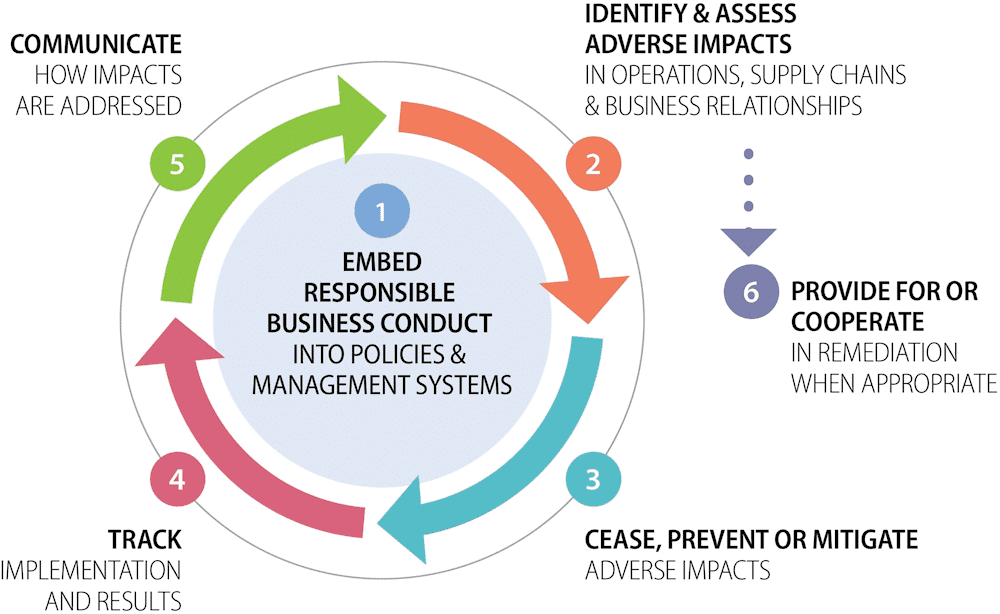 Transparency-Gate-Due-Diligence-Guidance-for-Responsible-Business-Conduct-OECD-Publishing-2008