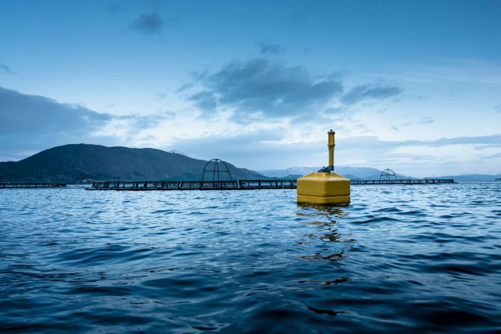 Yellow buoyancy module from Ovun, produced with rotational moulding, used in sustainable marine environments and aquaculture.