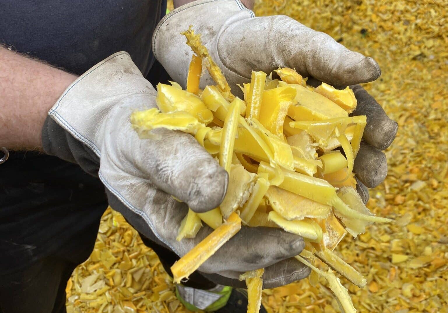 Hands with gloves holding pieces of shredded plastic. Plastic recycling.